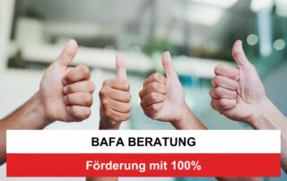 Bafa Beratung 100 Prozent Förderung